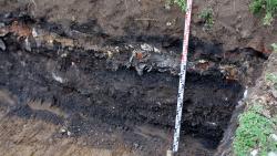 PFAS e risanamento  dei siti contaminati