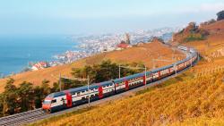 Carte journalière  dégriffée Commune