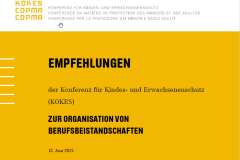 Cover Empfehlungen Organisation von Berufbeistandschaften