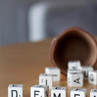 Promotion de projets pour l’accompagnement des personnes atteintes de démence