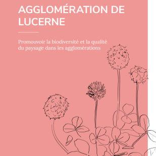 Cargo sous terrain: Ambitioniertes Projekt mit grossen Auswirkungen auf die Gemeinden