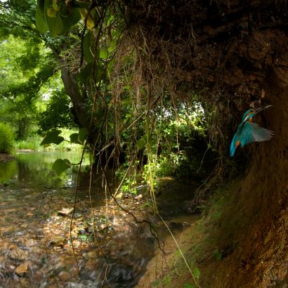 Revitalisierung von Gewässern: Gut für Mensch und Natur