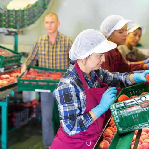 Misure per promuovere l’attività lucrativa delle persone con statuto di protezione S