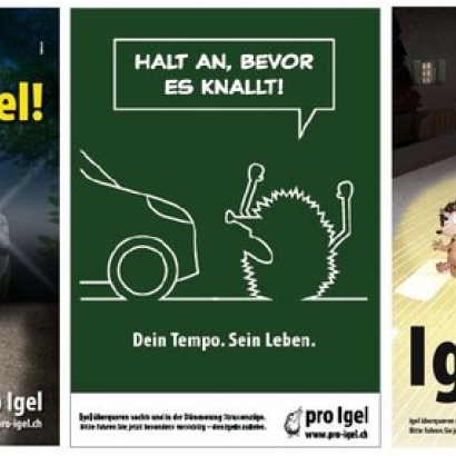 Auf dem Weg zur igelfreundlichen Gemeinde – ist Ihre dabei?