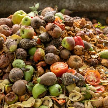 Nationale Woche gegen Food Waste: Mach mehr draus!