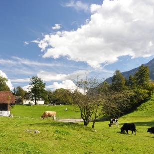 Presa di posizione dell’ACS sul «Coerente sviluppo territoriale 2024-2031»